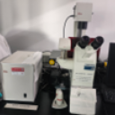 高速图像信息解析系统