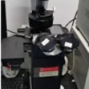 倒置荧光显微镜